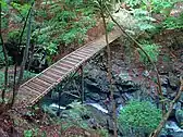 川苔谷の木橋