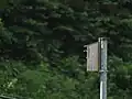 巣箱から頭を出しているブッポウソウ