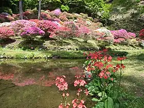 岡谷市長地の常現寺沢公園のつつじ