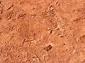 外野フェンス際のアンツーカー