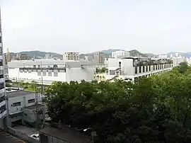 全体 2008年6月7日撮影