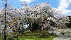 庚申塚古墳全景