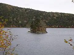弁天島