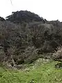 弥治郎嶽