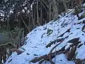 冬の鎖場