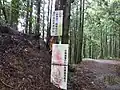 登山道