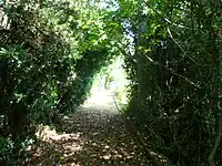 愛徳山王子跡北東参詣道