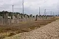 復元された外柵