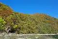 神の岩橋直下より上流（2010年11月）