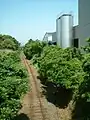 線路を跨ぐ焼酎工場パイプライン