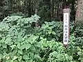 搦手口土塁跡