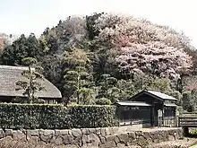 新林公園の春(小池邸)