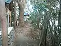 京の熊野古道