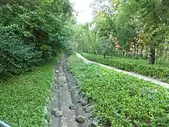 隣接する童話の森