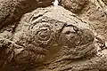 タマネギ状の風化の見られる日向石