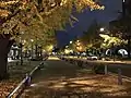日本大通り(夜景)