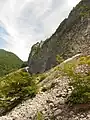 明星山西壁と登山道