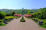 桜モール（手稲山方向）