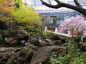 春の紅葉山公園