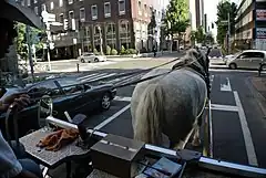 札幌の中心街を観光コースとする。交通量が多くても、馬はおとなしい。