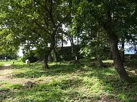 村岡山城