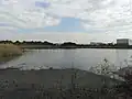 潮入の池。池の一部から海水を取りれることによって汽水を再現している。