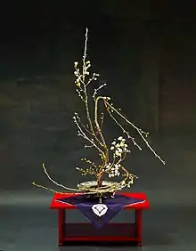 華道遠州による桜の古典生花