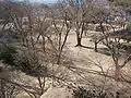 きたい丸