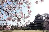 松本城と桜(2018年(平成30年)3月)