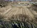 川田