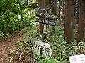 佐野川峠で鎌沢尾根道に合流