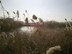 容湖公園