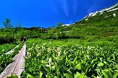栂池自然園