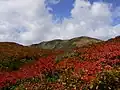 栗駒山