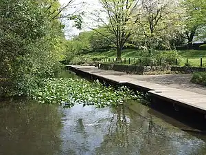 根川緑道（立川公園）（2010年4月）