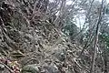 根本山の登山道
