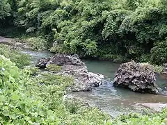 宇津峡(桂川中流域)：普⃝
