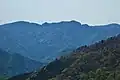桑瀬峠付近からの稲叢山