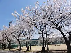 黒部市立桜井中学校