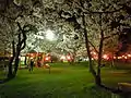33.桜野公園