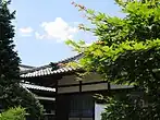 椛