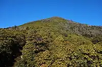 槙ノ口八合目からの市房山