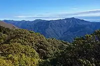 槙ノ口八合目からの石堂山
