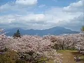 権現山展望台から大山を眺める