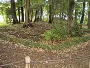 権現山古墳群7号墳（ふじみ野市）
