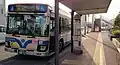 ノンステップ車両 (いすゞ・エルガ)