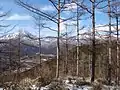 樹間からの日光連山（合峰 - 独標間）