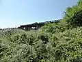 橋の袂から見る穏城大橋