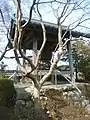 鐘楼