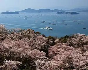 航路以外はカキ筏が浮かぶ三津湾(東広島市)。三津では1960年代から養殖が始まった。